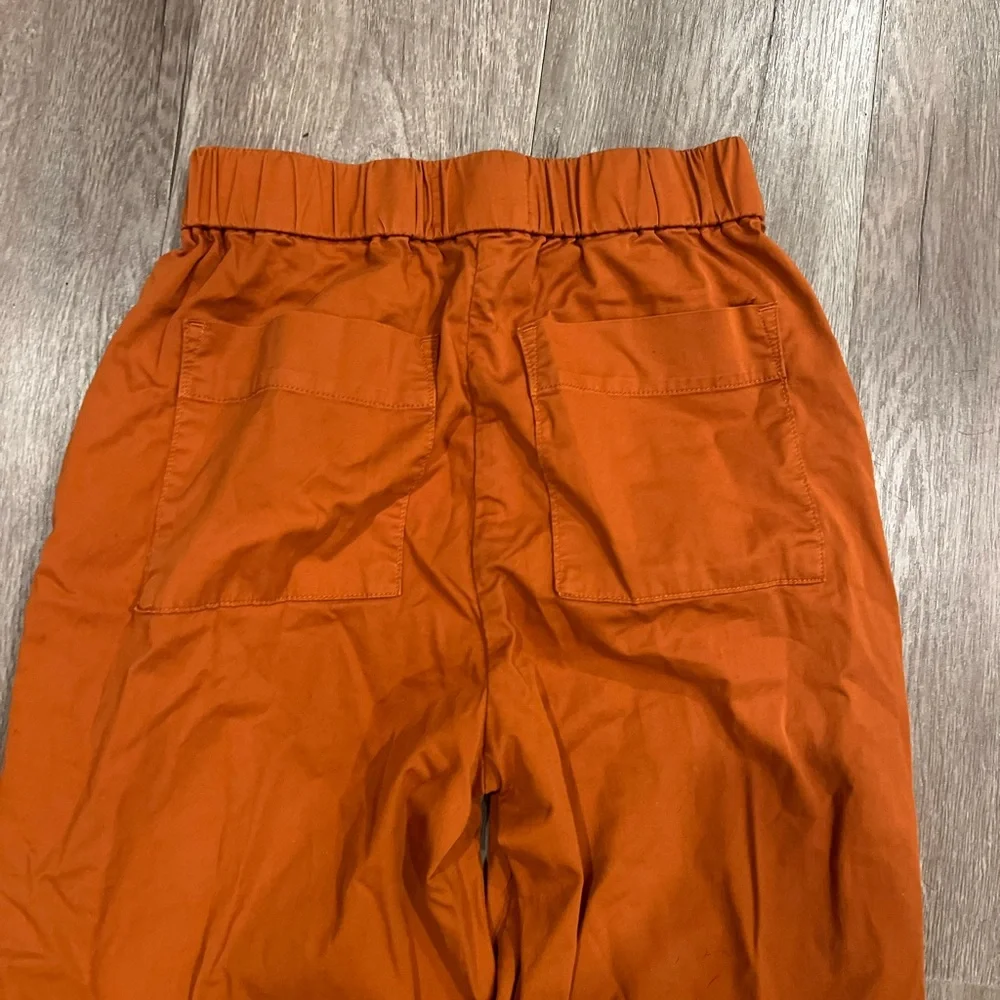 Everlane Wide Leg Elastic Waist Pants in Rust - Picture 5 of 6